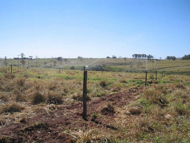 dracen_18_maio_2013 (90).JPG